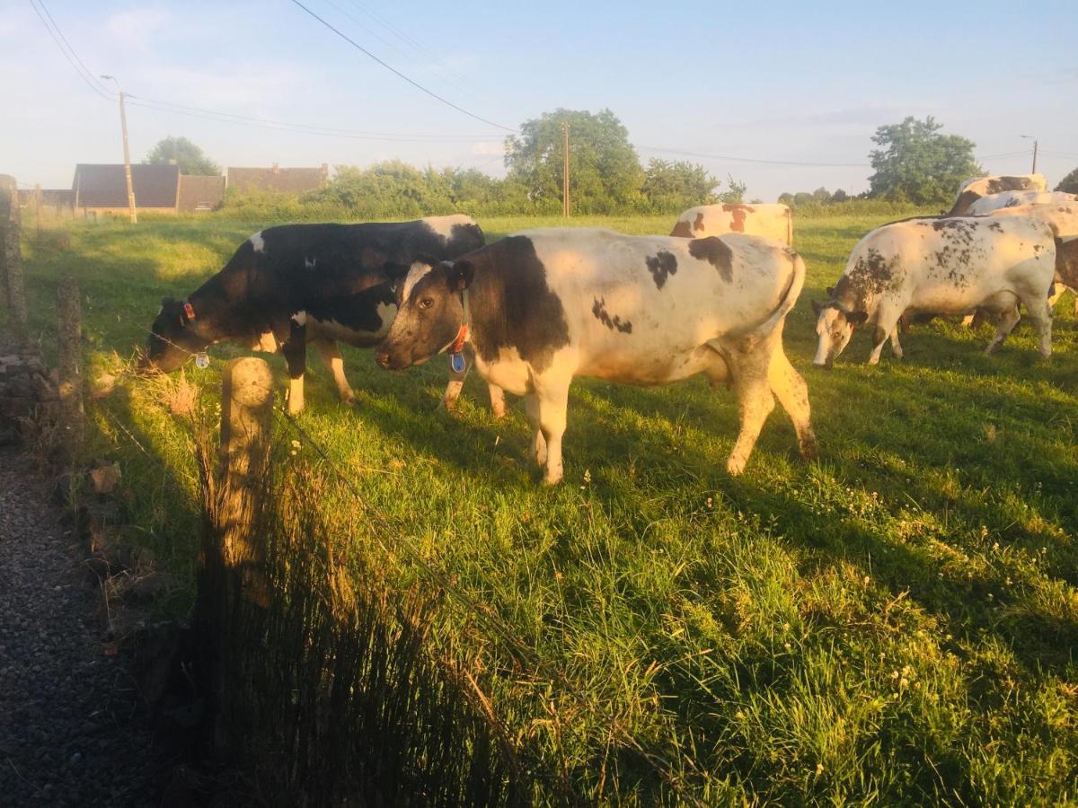 Aux Pieds Des Vaches Bed & Breakfast Charneux Exterior photo